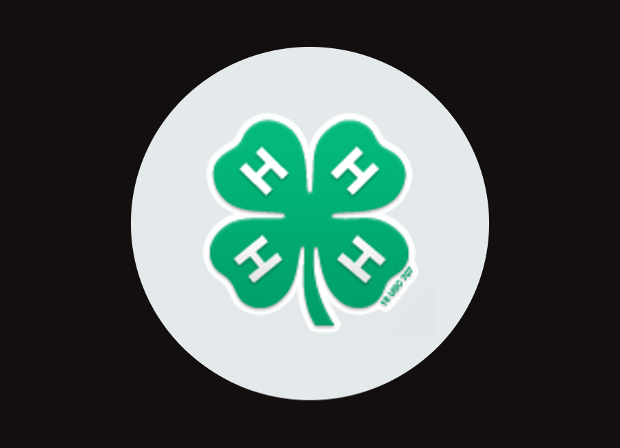 4-H