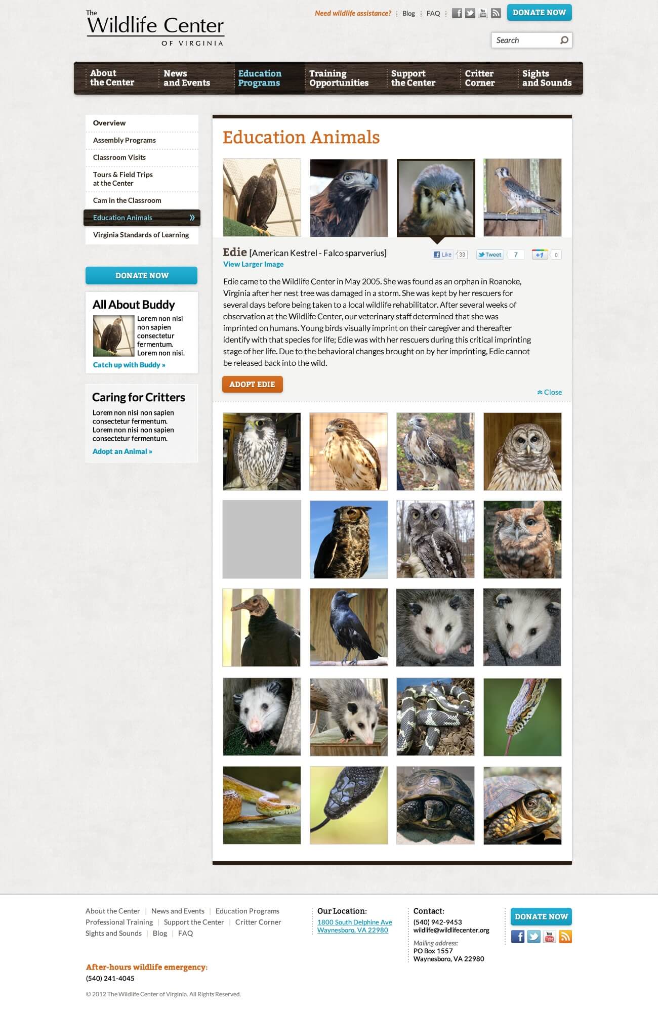 The Wildlife Center of Virginia - Homepage